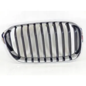 BMW 1 Serisi F20 Kasa LCI Kasa Ön Panjur BMW Orijinal Marka 51137371748